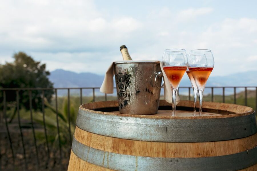 From Taormina: Mount Etna Food and Wine Tasting Tour - Who Should Book This Mount Etna Food and Wine Tour?