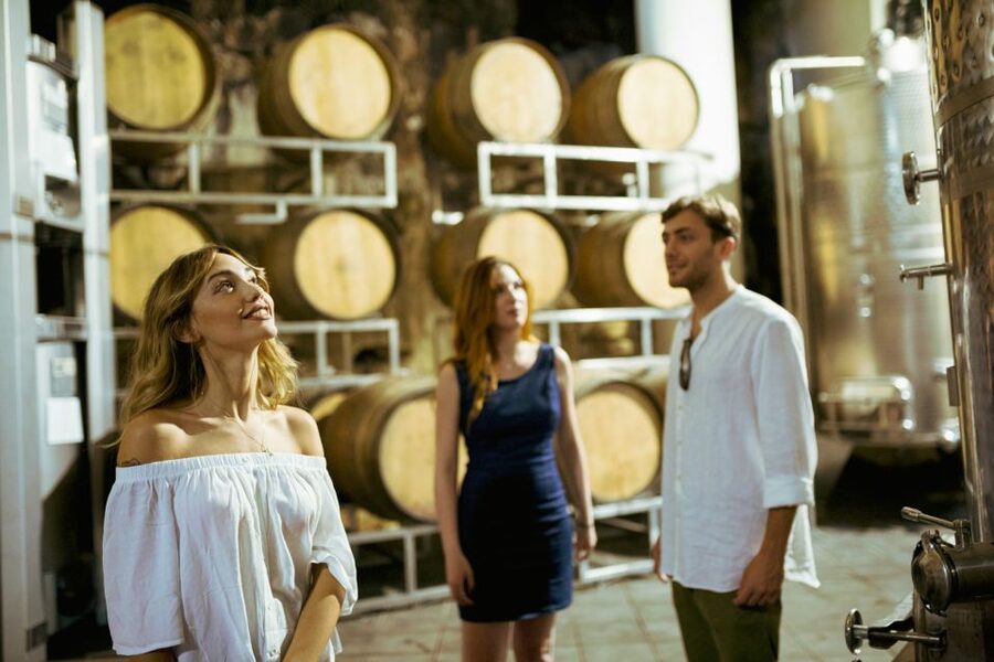 From Taormina: Mount Etna Food and Wine Tasting Tour - Open-Air Farm Lunch: Organic Etna Products Over Vineyard Views