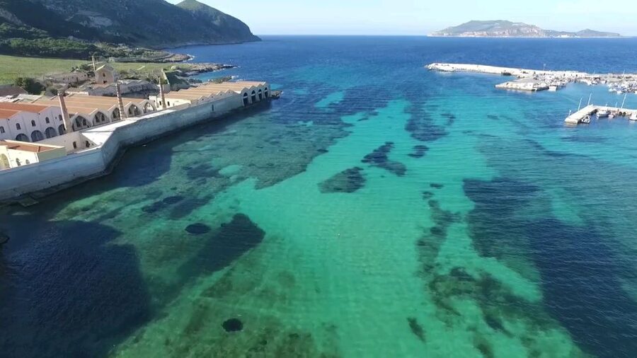 From Trapani: Day Cruise to Favignana & Levanzo with Lunch - Favignana and Levanzo: two islands, two different rhythms
