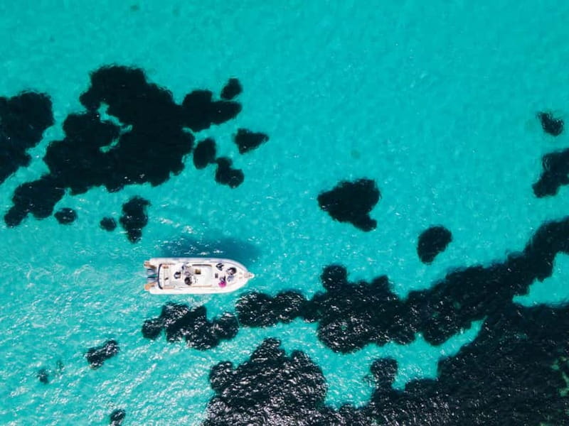 From Trapani: Egadi Islands Favignana & Levanzo Cruise - Cala Rossa to Blue Marino: the first coves and what makes them worth it