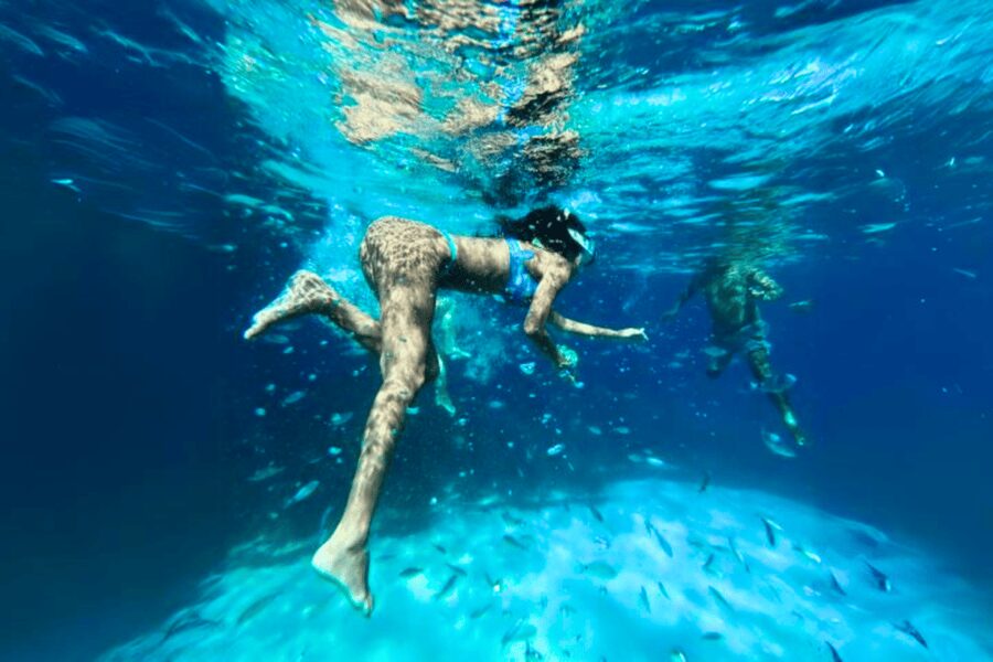 From Trapani: Favignana and Levanzo Egadi Island Day Cruise - Snorkeling Setup and Safety: Comfort Without Formality