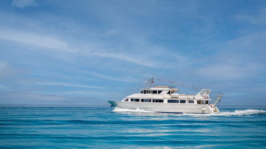 From Tropea: Lipari Panarea Stromboli Night Cruise - Key Things I’d Plan Around