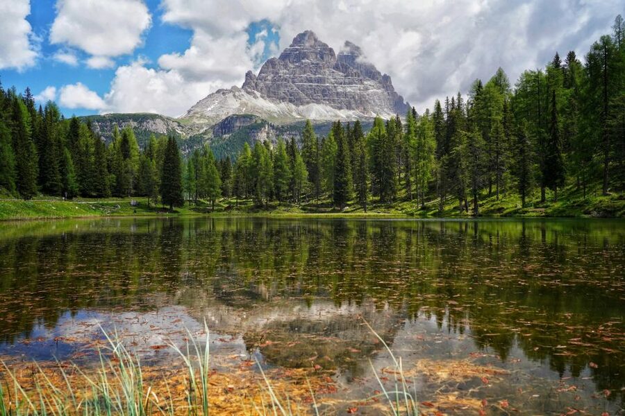 From Venice: Dolomites Day Trip - Pickup at Piazzale Roma and the Route via Pieve di Cadore