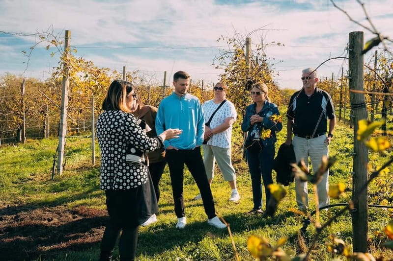 From Venice: Prosecco Hills and Wine Tasting Tour - Key highlights worth planning for