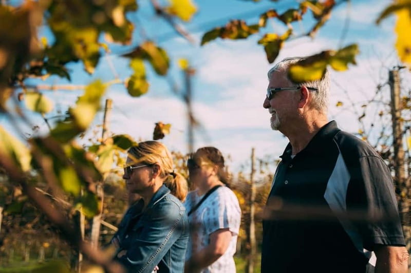 From Venice: Prosecco Hills and Wine Tasting Tour - What the tastings are actually like, and what to pay attention to