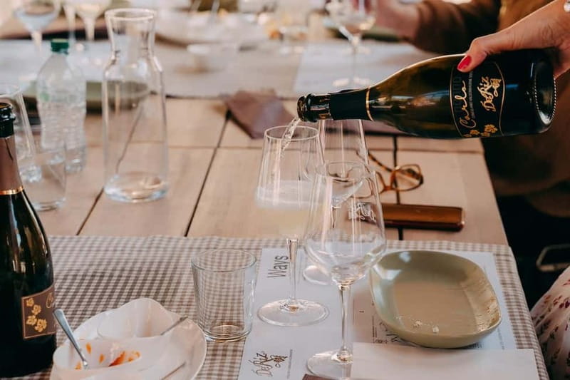 From Venice: Prosecco Hills and Wine Tasting Tour - Price and value: what you get for around $153 per person