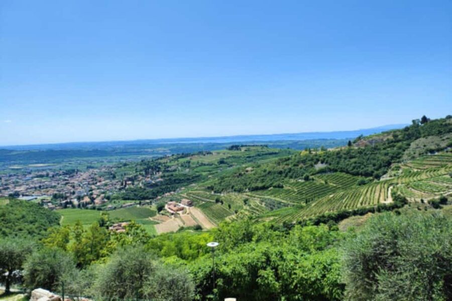 From Verona: Amarone Half-Day Wine Tasting Tour - Key highlights worth your attention