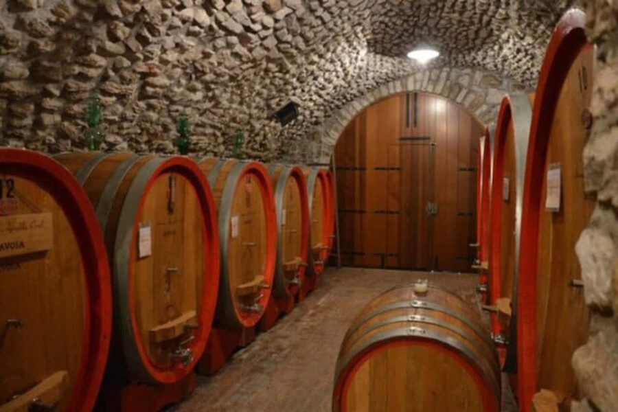 From Verona: Amarone Half-Day Wine Tasting Tour - Price and value: what $106 buys you in the real world