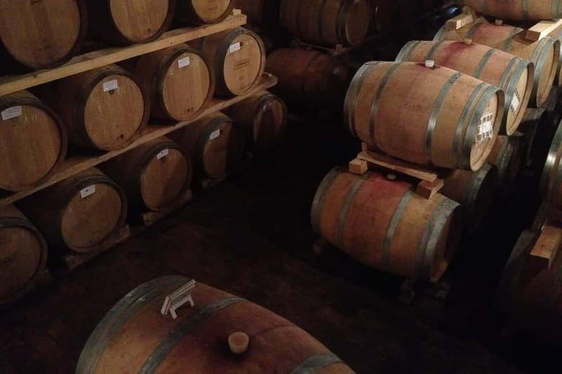 From Verona: Amarone Wine E-Bike Tour with Tasting - From Itinera Bike & Travel to Valpolicella hills: getting out of Verona fast