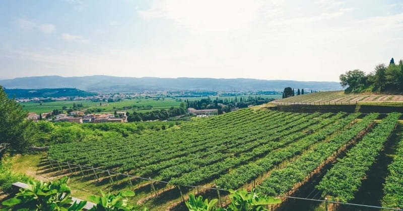 From Verona: Amarone Wine E-Bike Tour with Tasting - What to pack and how to show up ready