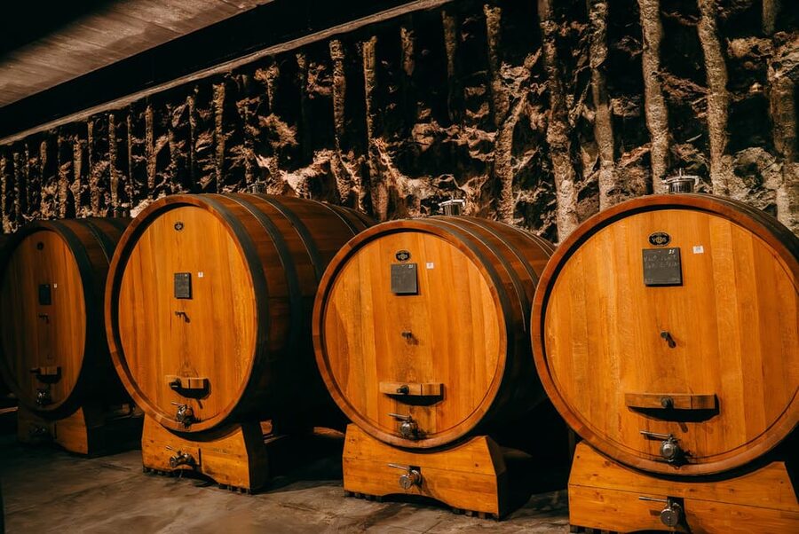 From Verona: Valpolicella and Amarone Wine Tasting Tour - Verona to Valpolicella by air-conditioned comfort