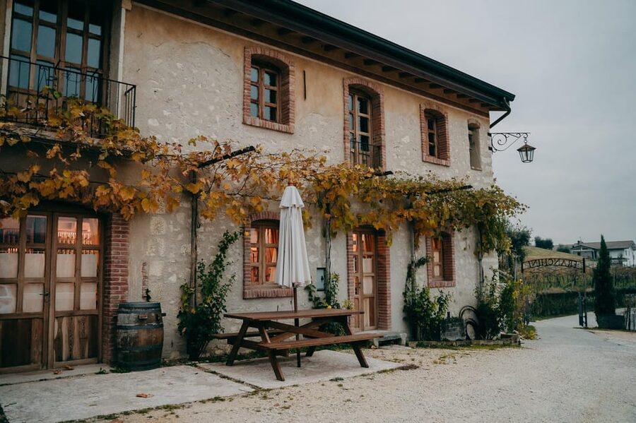 From Verona: Valpolicella and Amarone Wine Tasting Tour - How the Amarone lesson sticks (without making your head spin)