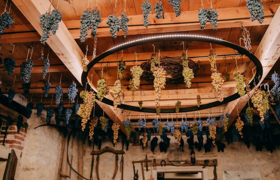 From Verona: Valpolicella and Amarone Wine Tasting Tour - Food pairings that make the tastings feel complete