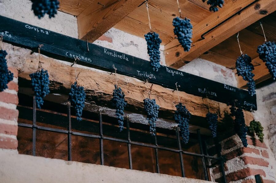 From Verona: Valpolicella and Amarone Wine Tasting Tour - Views, photos, and how to pace yourself