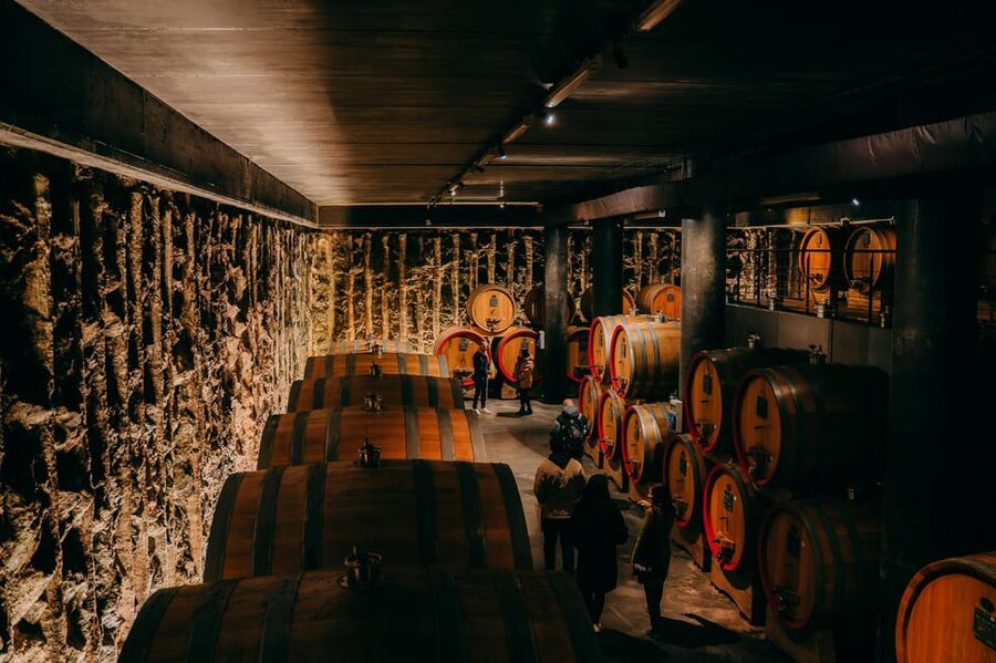 From Verona: Valpolicella and Amarone Wine Tasting Tour - Stop 1: Your first Valpolicella cellar tasting, with Ripasso and Amarone context