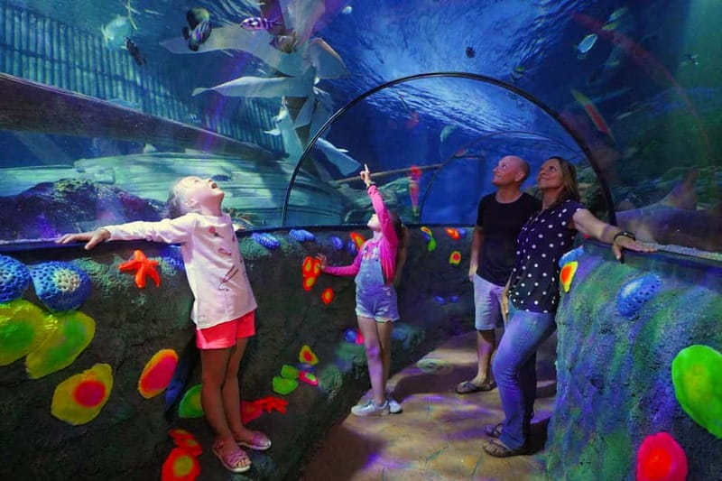 Gardaland SEA LIFE Aquarium: Open Date Entry Ticket - Key things I’d zero in on