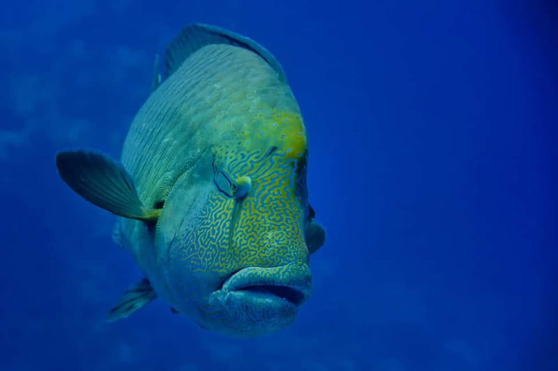 Gardaland SEA LIFE Aquarium: Open Date Entry Ticket - Entering the aquarium: know the rules before you go