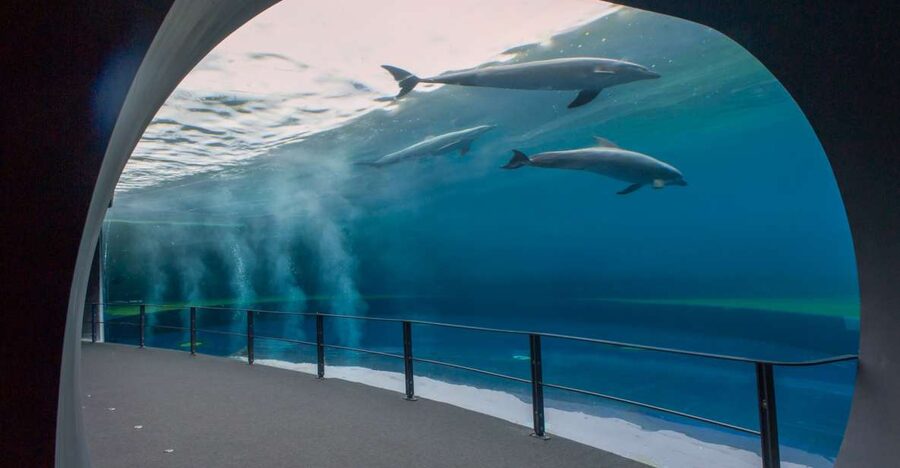 Genoa: Aquarium and FantaCinema Combined Ticket - FantaCinema in the Cotton Warehouses: Fantasy Film History in Real Objects