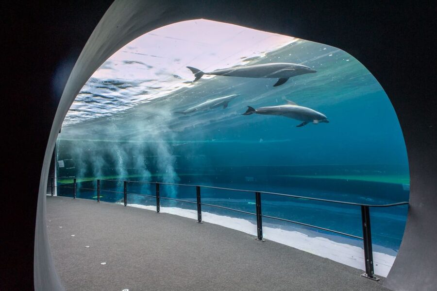 Genoa: Aquarium & Christopher Columbus' House Entry Tickets - Getting There: Two Stops in Genoa’s Real-World Neighborhoods