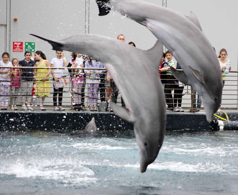 Genoa: Aquarium, Galata Museum and Submarine Entry Tickets - Skip-the-line value, and what $52 really covers