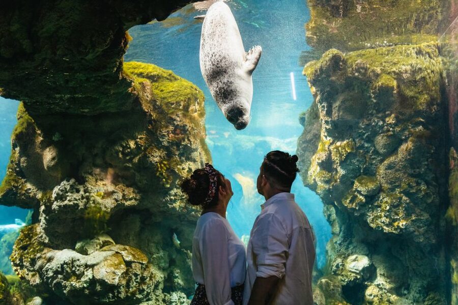 Genoa: Aquarium of Genoa Entry Ticket - Price check and value: is it worth $35?