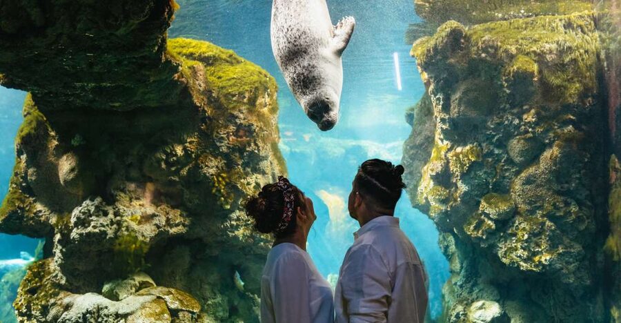 Genoa: Aquarium of Genoa Entry Ticket - Best use of your time: how long to stay and what to skip (if needed)