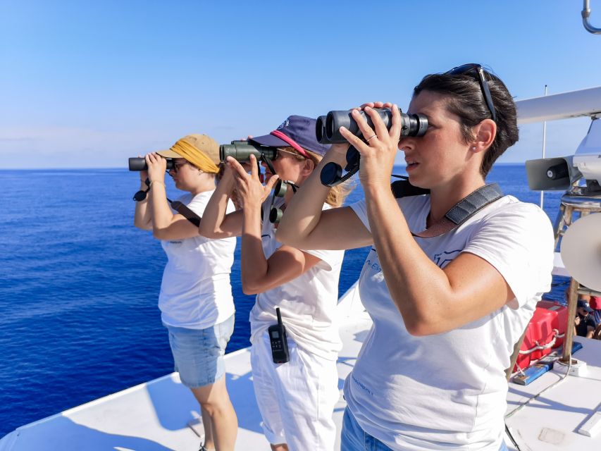 Genoa: Cetacean Watching Cruise with Marine Biologist Guide - The pre-sailing briefing, and how the Sanctuary shapes your search