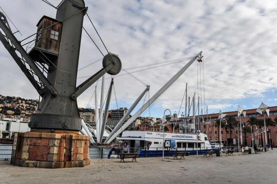 Genoa: Full-Day Tour to Camogli, San Fruttuoso & Portofino - Timing, transfers, and how to structure your day without stress