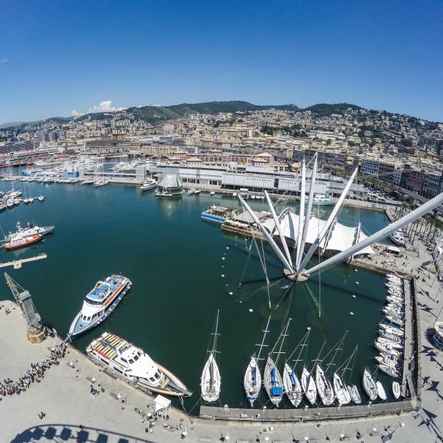 Genoa: Full-Day Tour to Camogli, San Fruttuoso & Portofino - The boat itself: views, possible dolphins, and why this beats trains