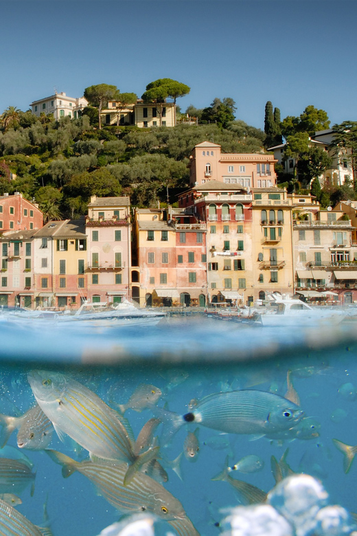 Genoa: Half-Day Tour to Portofino - Onboard comfort and crowding: plan for the return