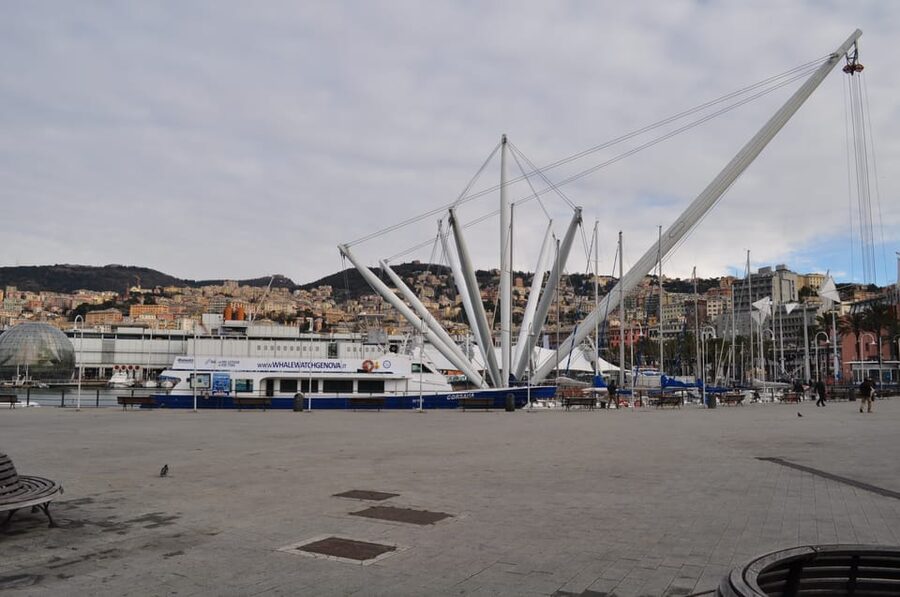 Genoa: Half-Day Tour to Portofino - Practical tips that make the day smoother