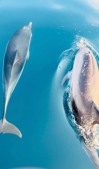 Giardini Naxos: Sunset Dolphin Watching Cruise with Aperitif - Grotta dell’Amore in about 5 minutes, and why the short stop works