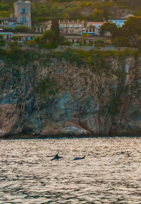 Giardini Naxos Taormina: Dolphin Watching Sunset Tour - The guide experience: what language support and on-the-water info feels like