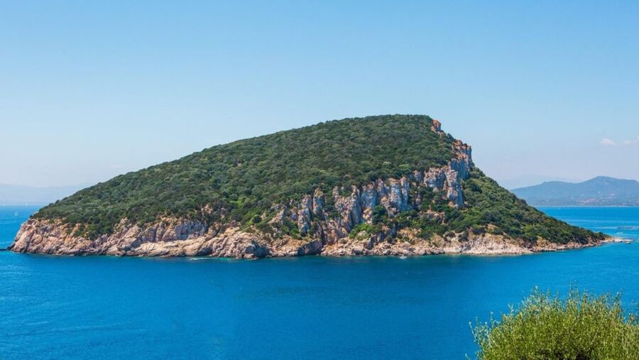 Golfo Aranci: Dolphin Watching and Snorkeling Boat Tour - Snorkeling stops at Cala Greca, Cala Moresca, and Figarolo
