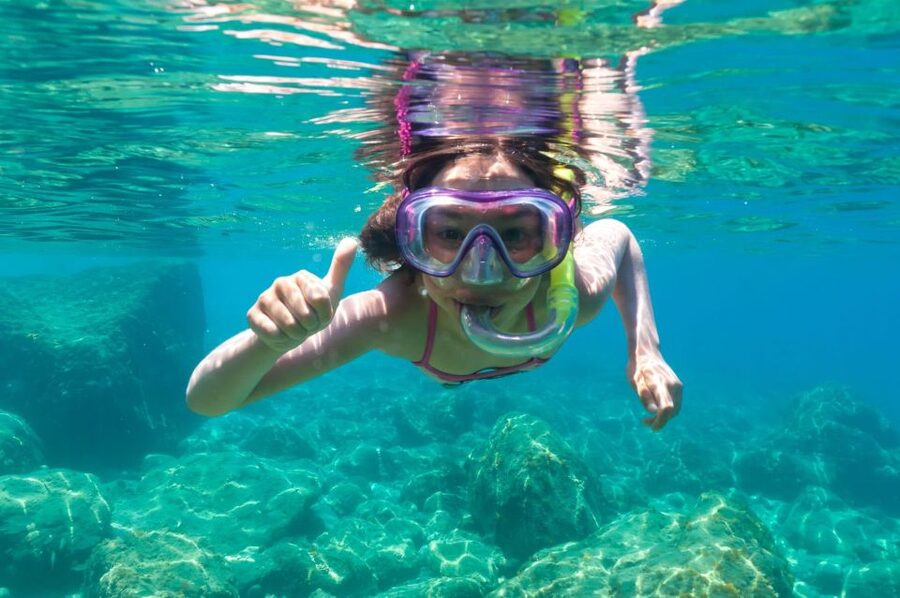 Golfo Aranci: Dolphin Watching and Snorkeling Boat Tour - Cape Figari and Figarolo Island: where the dolphins usually show up