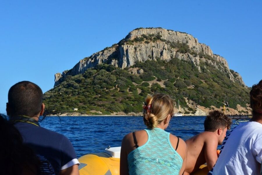 Golfo Aranci: Eco-Friendly Dolphin Watching Boat Trip - Figarolo Island Dolphin Watching From Golfo Aranci: What You’re Really Paying For