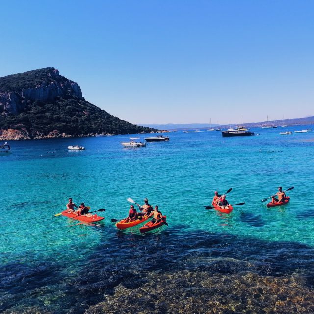 Golfo Aranci: Kayak Tour with Dolphins and Aperitif - The kayak lesson you will be glad you got
