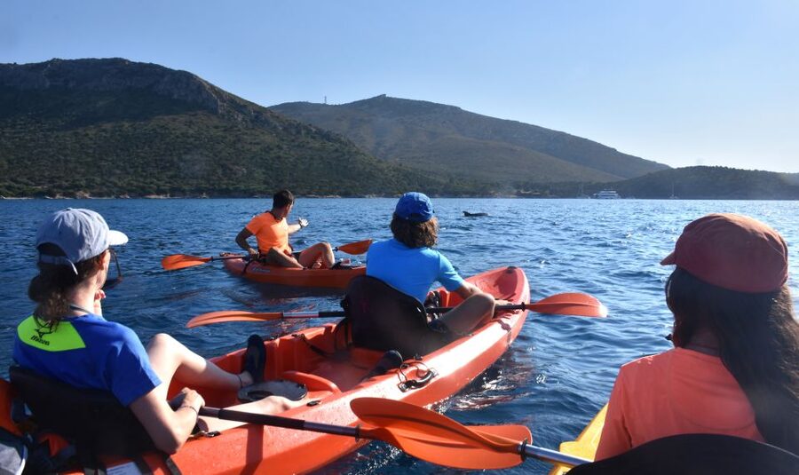 Golfo Aranci: Kayak Tour with Dolphins and Aperitif - Cala Moresca and the first big scenery payoff