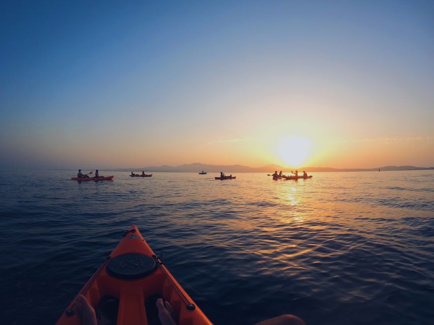 Golfo Aranci: Kayak Tour with Dolphins and Aperitif - Price and value: is $53 fair for 2.5 to 3 hours?