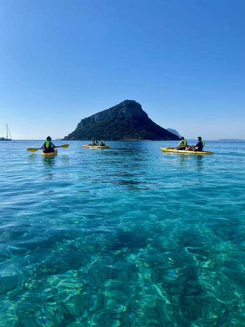 Golfo Aranci: Small group Kayak tour with Aperitif &dolphins - Key things to know before you go