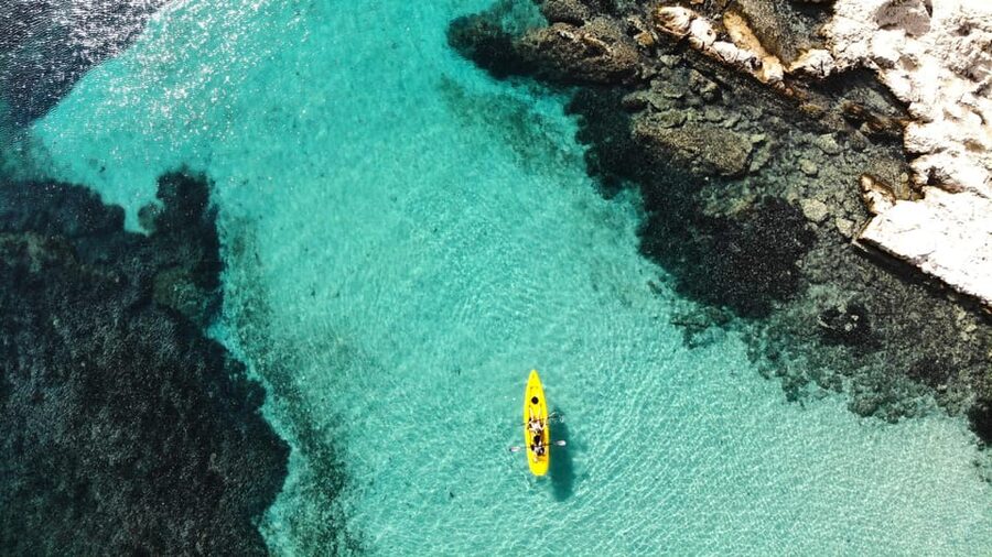Golfo Aranci: Small group Kayak tour with Aperitif &dolphins - Paddle to Cala Moresca: the first swim stop does most of the work