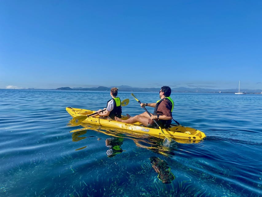 Golfo Aranci: Small group Kayak tour with Aperitif &dolphins - The dolphin watch by the fish farm: how to make it count