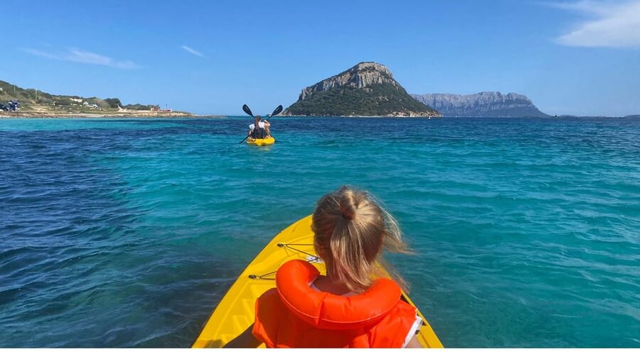 Golfo Aranci: Small group Kayak tour with Aperitif &dolphins - Price and value: is $58 for 3 hours actually fair?