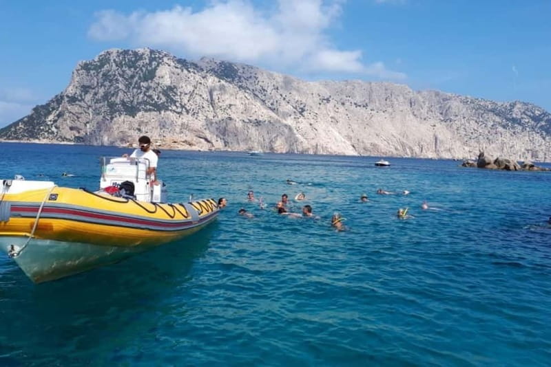 Golfo Aranci: Tavolara and Molara Snorkeling Dinghy Tour - Punta Spalmatore’s white-sand strip: your last swim with a cold drink