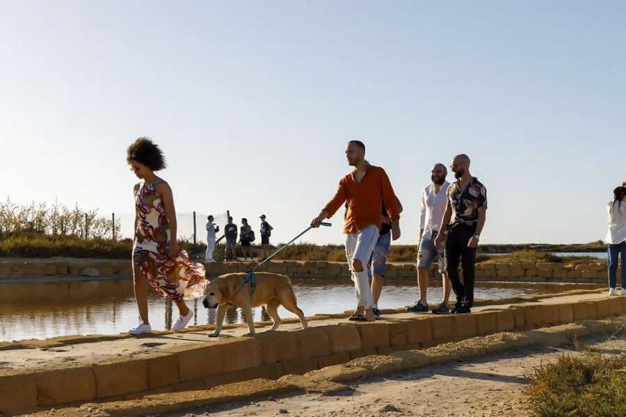 Guided tour of the Trapani Salt Pans and Salt Museum - Why $21 is fair value for what’s included
