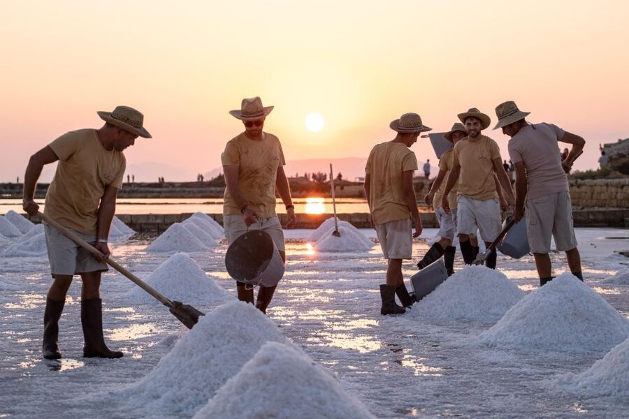 Guided tour of the Trapani Salt Pans and Salt Museum - The 75 minute salt pan walk through WWF-protected nature