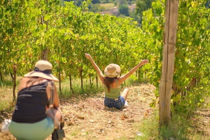 Half day Chianti Vineyard Escape from Florence with Wine Tastings - Key highlights worth knowing