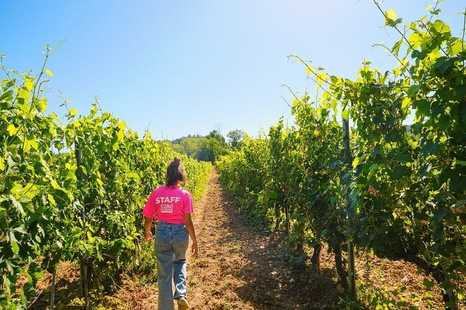 Half day Chianti Vineyard Escape from Florence with Wine Tastings - Getting to Chianti from Florence: Piazzale Montelungo and the Coach Ride