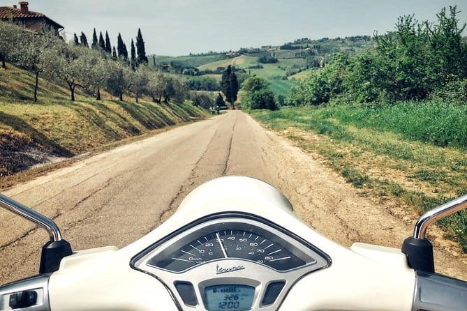 Half day Chianti Vineyard Escape from Florence with Wine Tastings - Timing, group size, and comfort: what the 5-hour window really feels like