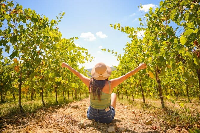 Half day Chianti Vineyard Escape from Florence with Wine Tastings - Two wineries, cellars, and vineyard walks: what each stop adds